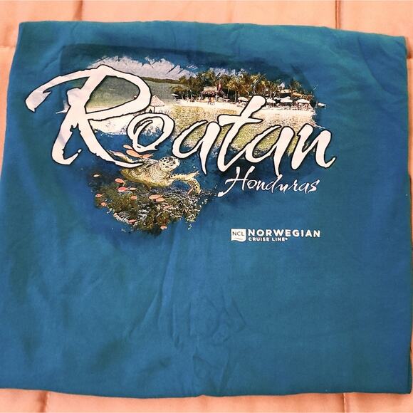 9 MEN'S XL GRAPHIC T-SHIRTS - EXCELLENT CONDITION! - Picture 2 of 9